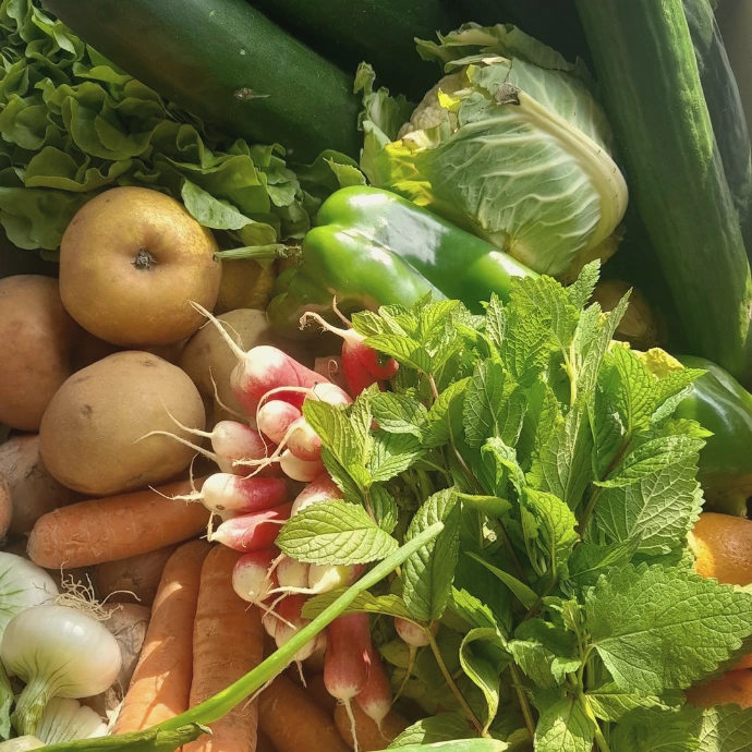 légumes de saison